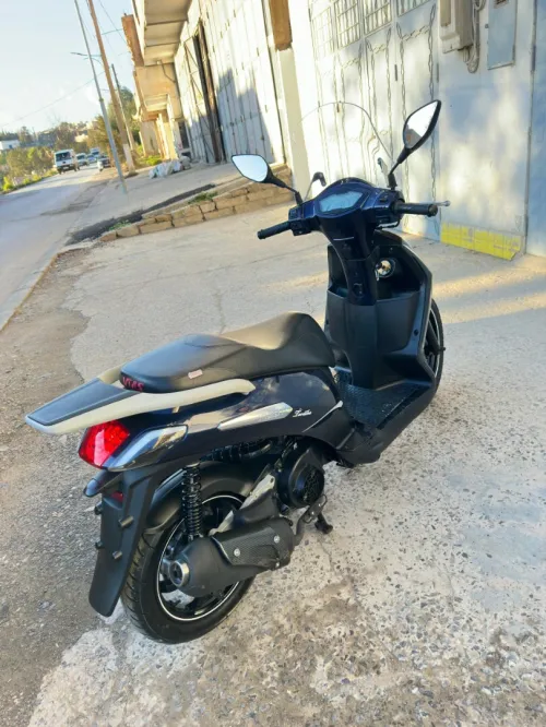 Flach Vms 2022