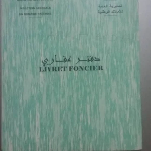 Vente Terrain Agricole Tlemcen Bab el assa