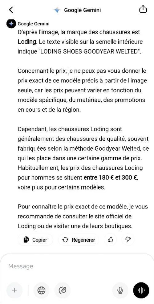 Chaussure loding good year
