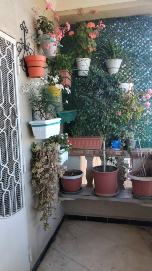 Vente Appartement F4 Sidi Bel Abbès Sidi bel abbes