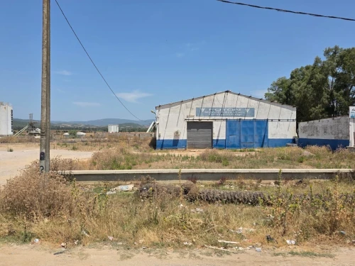 Vente Terrain Skikda Azzaba