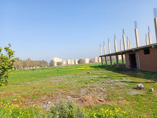 Location Local Tipaza Bourkika