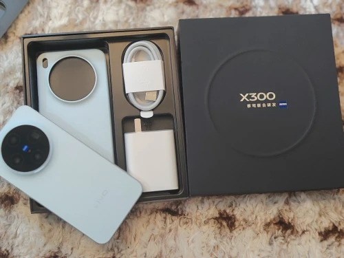 Vivo X300