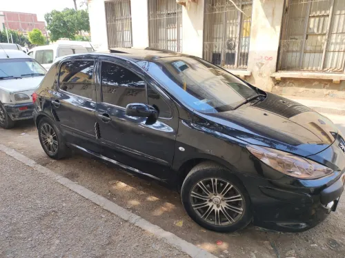 Peugeot 307 2007 307