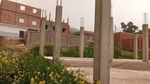 Vente Terrain Tlemcen Ain kebira