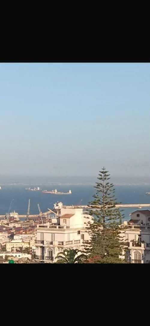 Vente Appartement F6 Alger Alger centre