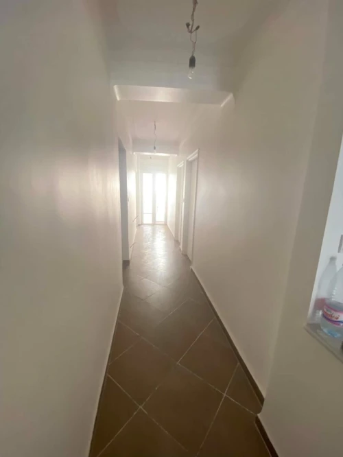 Location Appartement Alger Alger centre