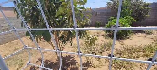 Vente Appartement F03 El taref El kala