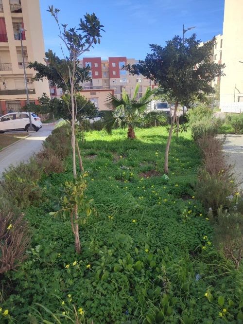 Vente Appartement F4 Alger Reghaia