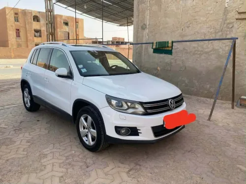 Volkswagen Tiguan 2014 CUP