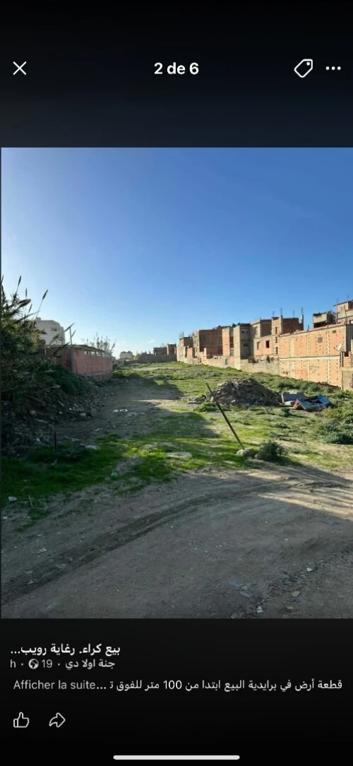 Vente Terrain Alger Reghaia