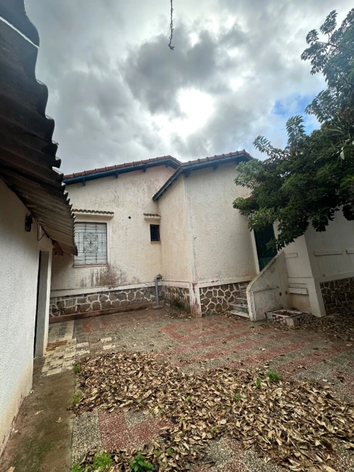 Vente Terrain Alger Ain taya