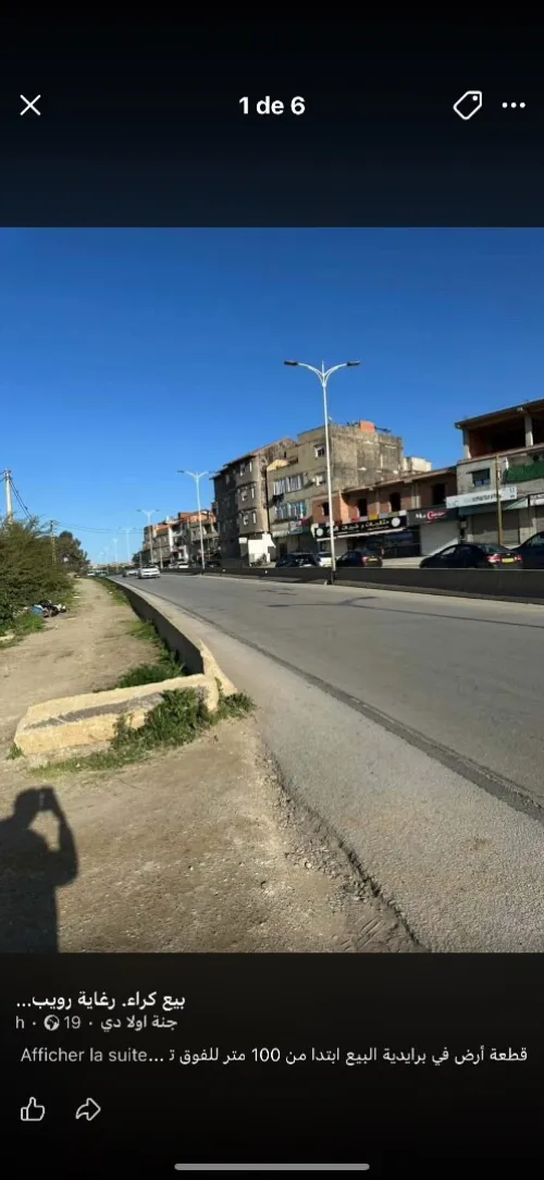 Vente Terrain Alger Reghaia