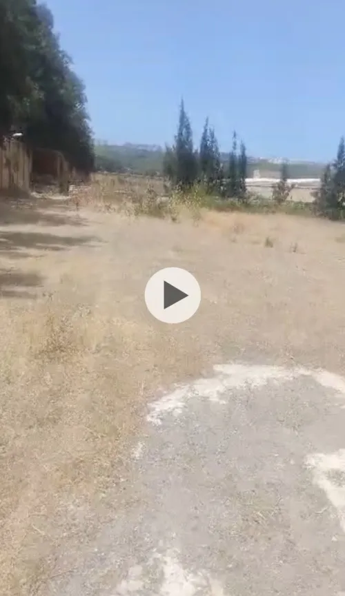 Vente Hangar - Usine Tipaza Kolea
