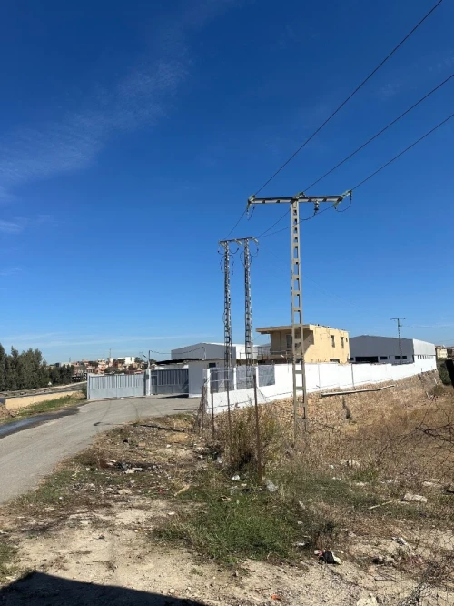 Vente Terrain Boumerdès Ouled moussa