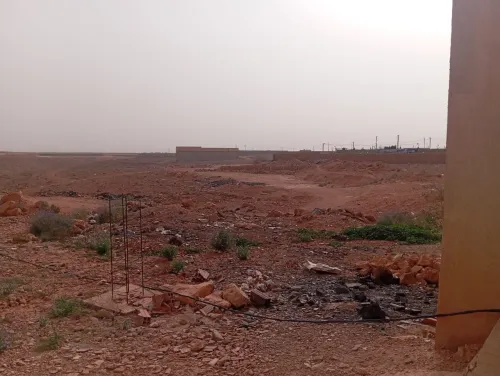 Vente Terrain Ghardaïa Ghardaia