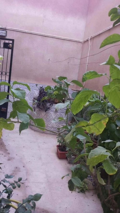Vente Villa Sidi bel abbes Sidi bel abbes