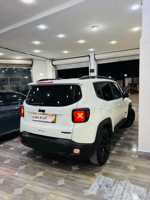 Jeep Renegade 2022 Renegade