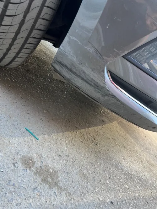Volkswagen Polo 2019 Carat +
