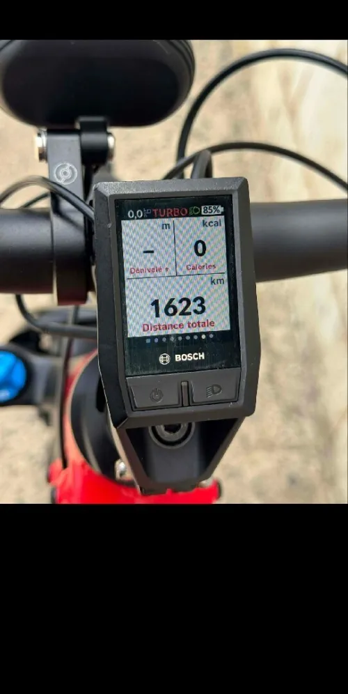 Vélo électrique Riese muller Delite