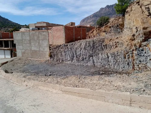 Vente Terrain Tissemsilt Sidi slimane