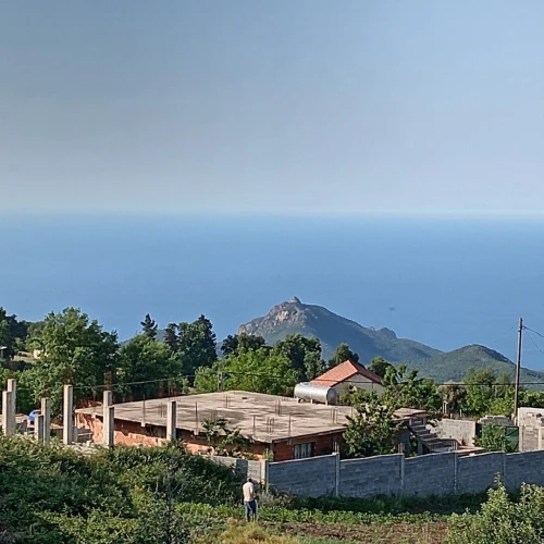 Vente Local Annaba Seraidi