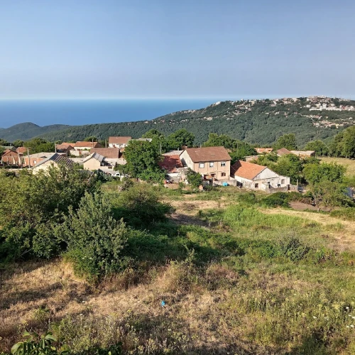 Vente Local Annaba Seraidi