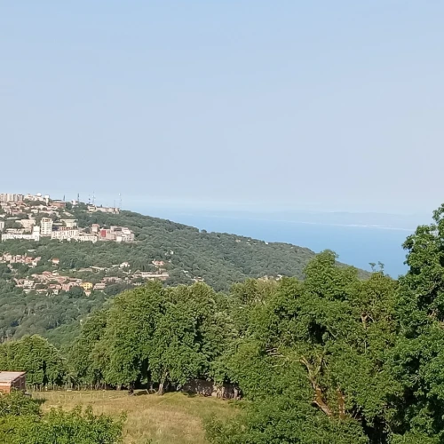 Vente Local Annaba Seraidi