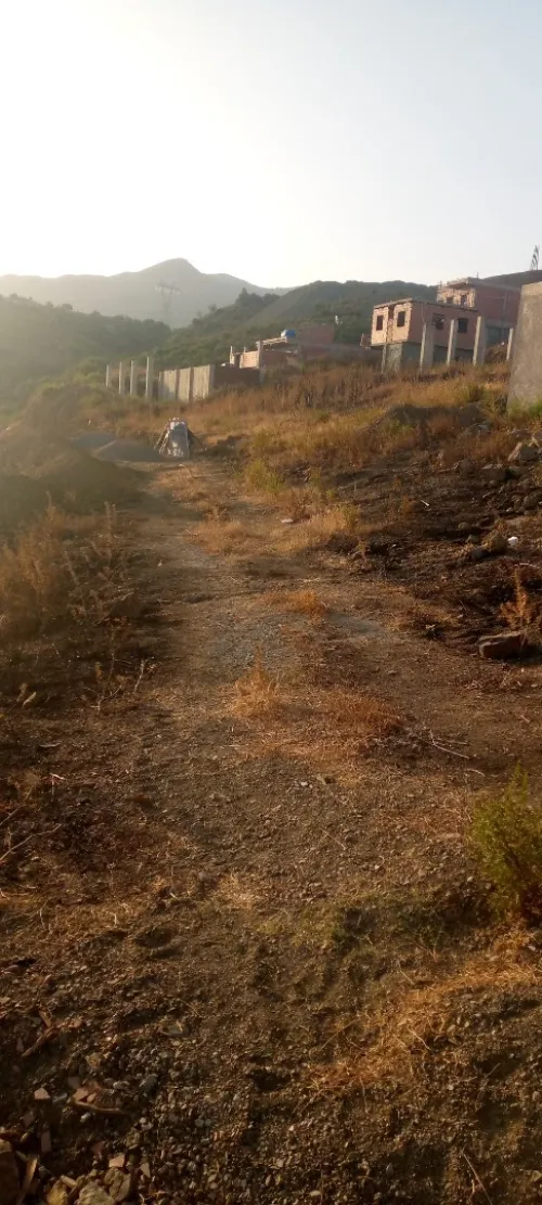 Vente Terrain Blida Bougara