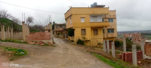 Vente Terrain Blida Bougara