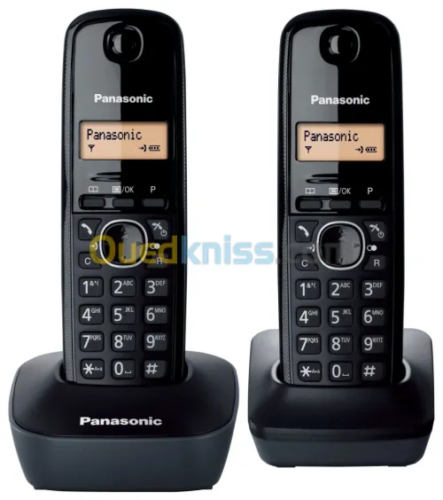 Panasonic Téléphone sans fil deux combinés KX TG1612