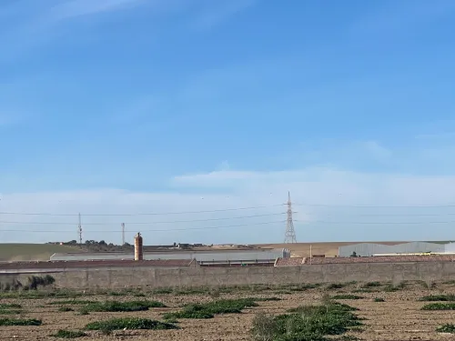Vente Hangar - Usine Oran Tafraoui