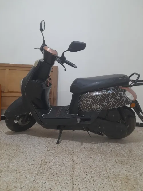 Vms Coxi 2019