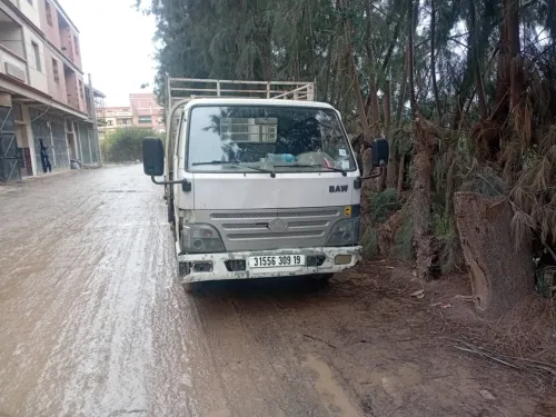 Camion léger Baw 2009