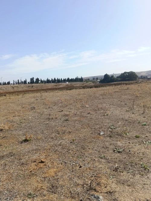 Vente Terrain Bouira Bouira