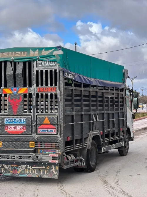 Isuzu Super jumbo 