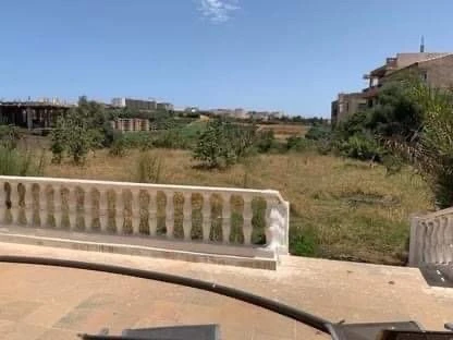 Vente Terrain Tipaza Kolea