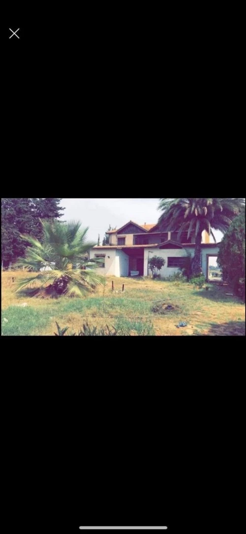 Vente Terrain Tipaza Kolea