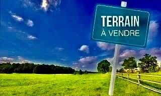 Vente Terrain Tipaza Bou ismail