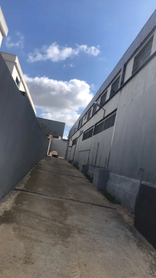 Vente Hangar - Usine Oran Oued tlelat