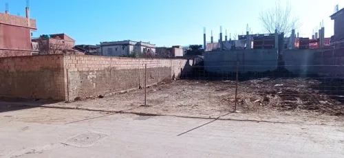 Vente Terrain Blida Larbaa