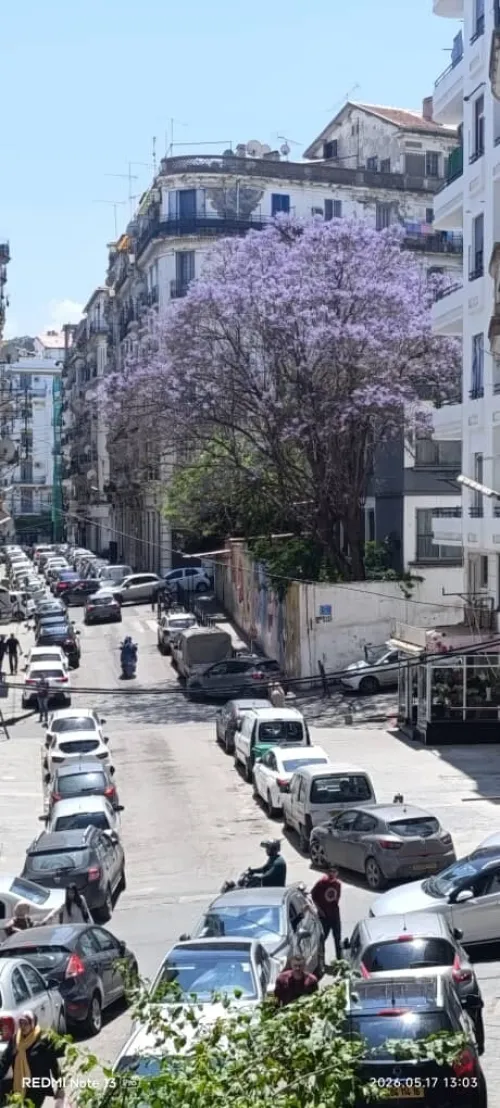 Vente Appartement F6 Alger Alger centre