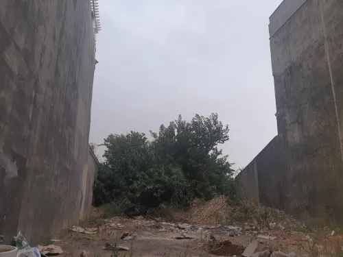 Vente Terrain Alger Zeralda