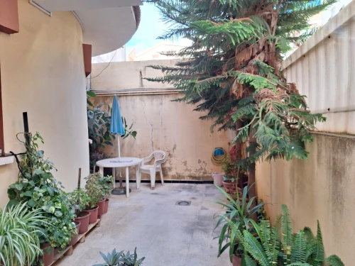 Vente Villa Alger Ouled fayet