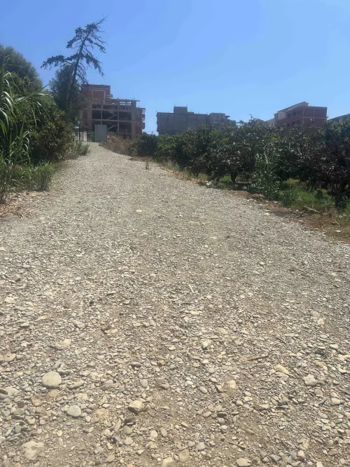 Vente Terrain Tipaza Kolea