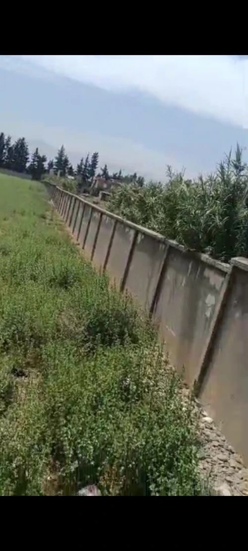 Vente Terrain Agricole Blida Ben khellil