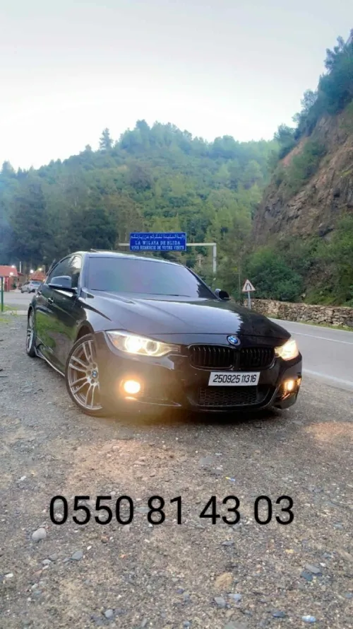BMW Série 3 2013 Sport M