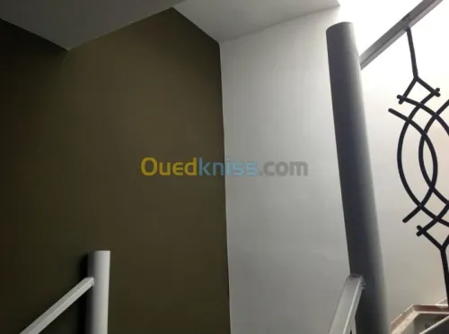 peintures / plâtre / décoration maison