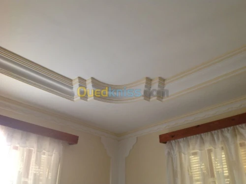 peintures / plâtre / décoration maison