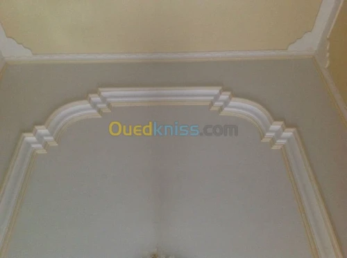 peintures / plâtre / décoration maison